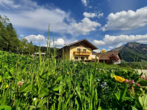 Appartement Reitlhof, Bio Berg Bauernhof